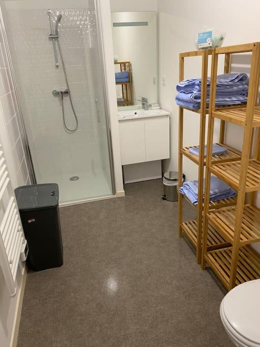 Appartement Aux Portes De Vannes Сене Экстерьер фото
